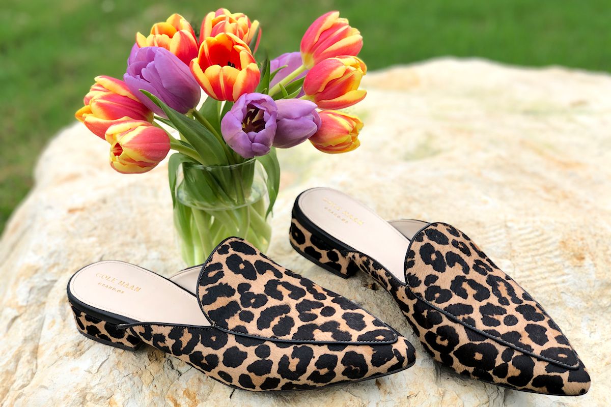 Cole haan leopard mules best sale