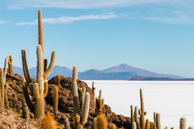Featured photo of related post Uyuni Salt Flats: A Bumpy Ride in Southern Bolivia