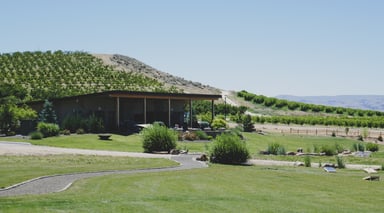 Idaho Vineyards: Tasting the Sunnyslope Wine Trail | The Spunky Curl