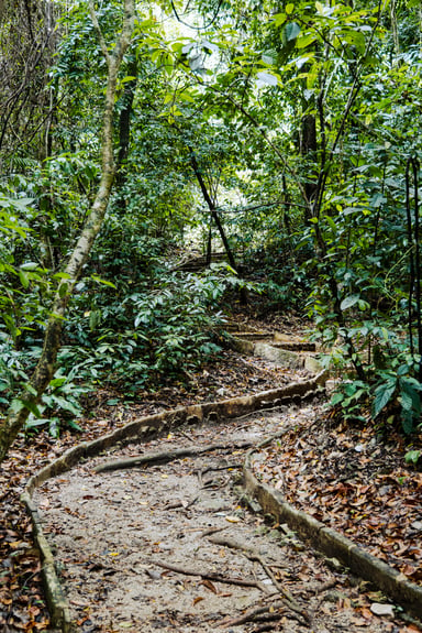 Exploring the Ancient Maya Ruins of Palenque | The Spunky Curl